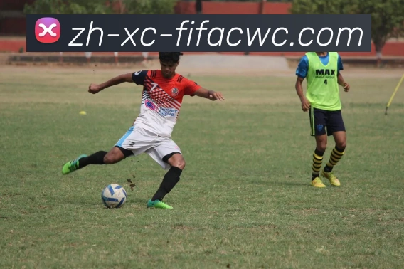 世界杯在线观看发展历程