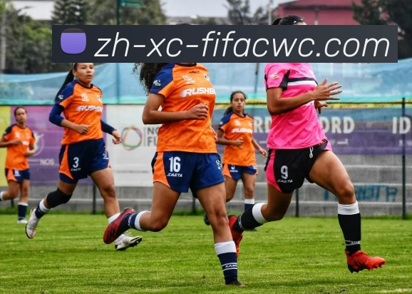 2017年火箭队球员年薪数据统计与比较